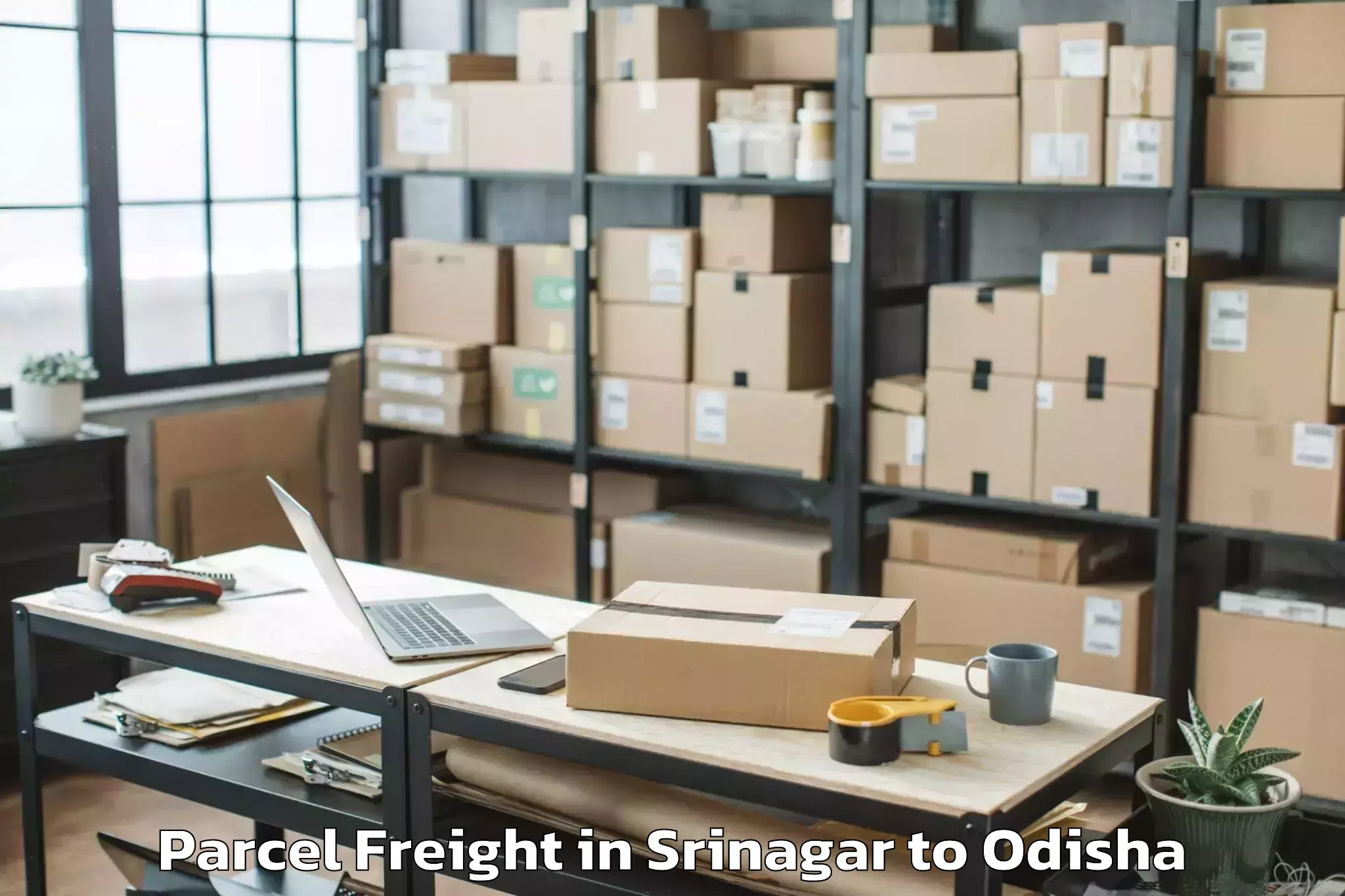 Book Srinagar to Bangomunda Parcel Freight Online